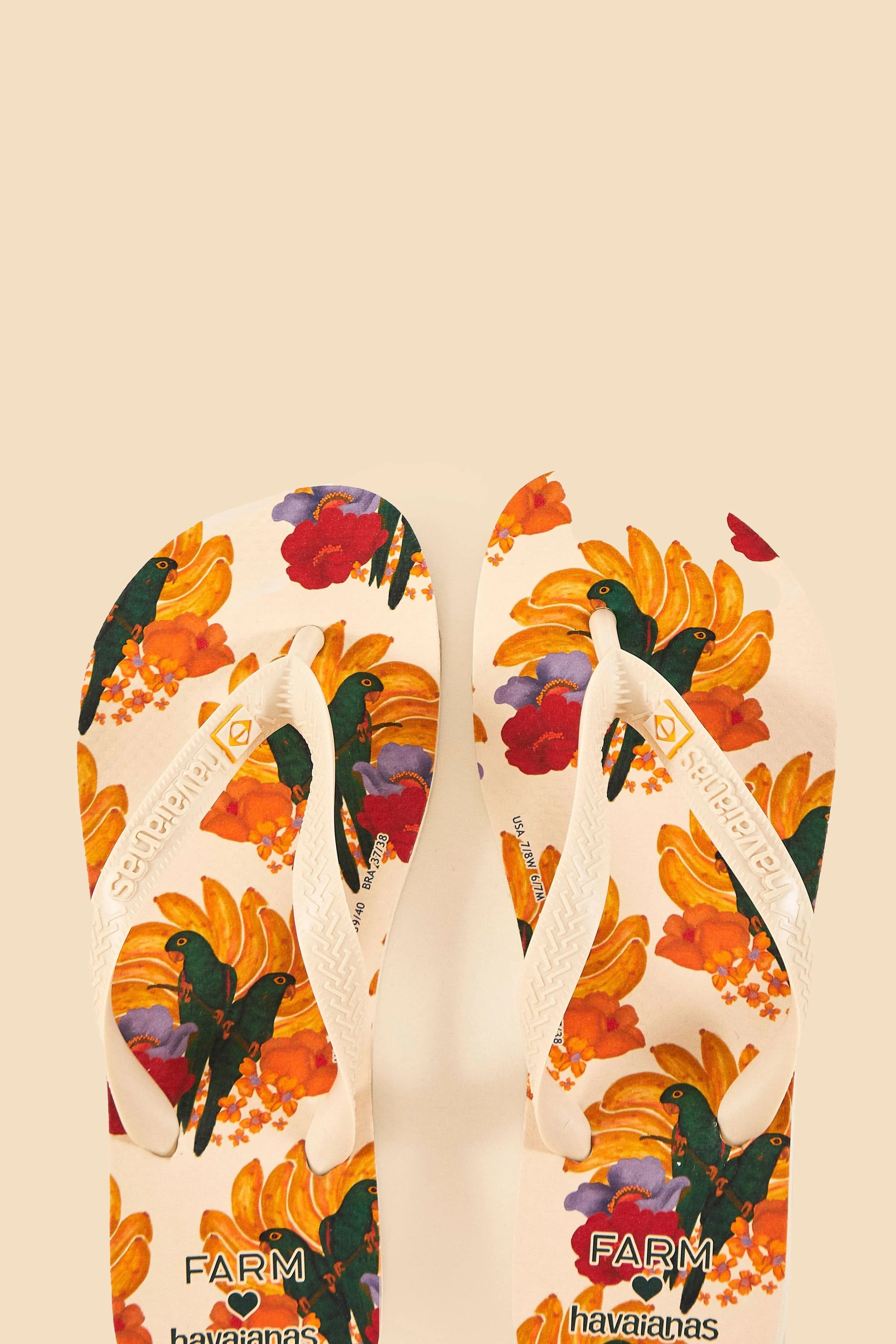 Banana Nest Havaianas Sandals - Image 3